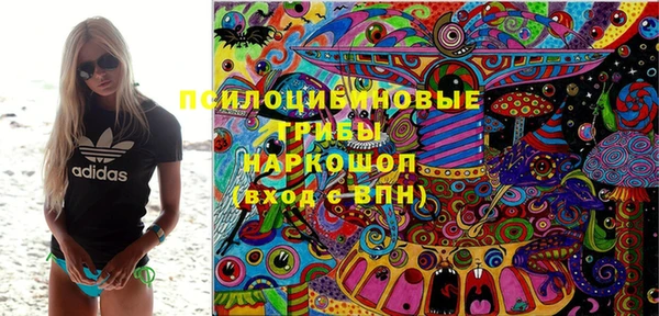каннабис Аркадак