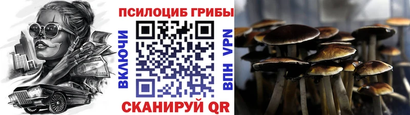 Псилоцибиновые грибы MAGIC MUSHROOMS  Чусовой 